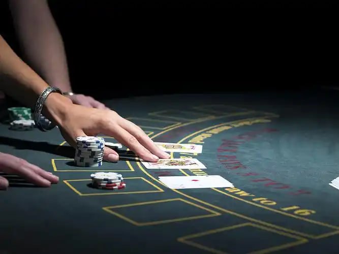 win 444 bet